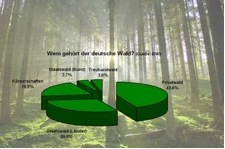 wald